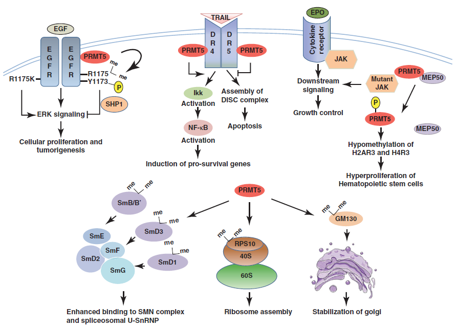 微信圖片_20210210104148.png 微信圖片_20210210104148.png